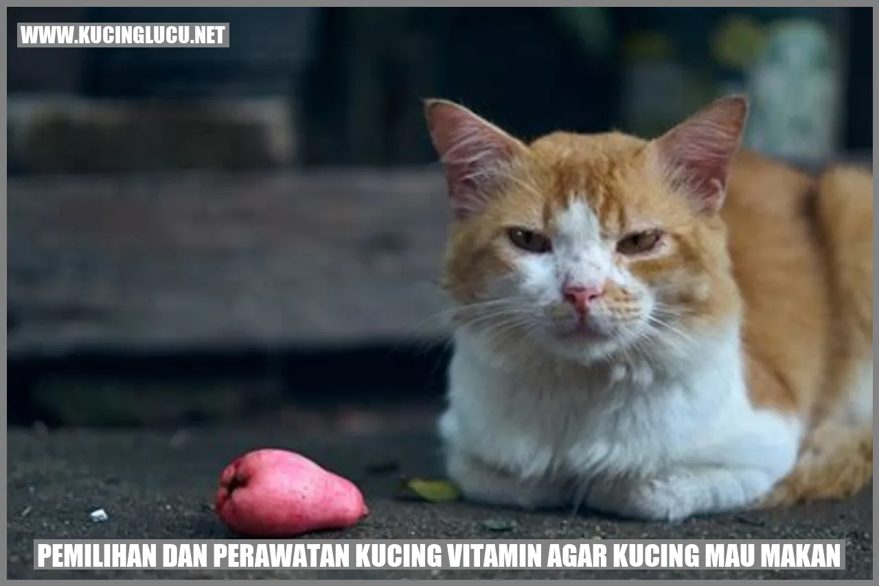 Kucing makan vitamin