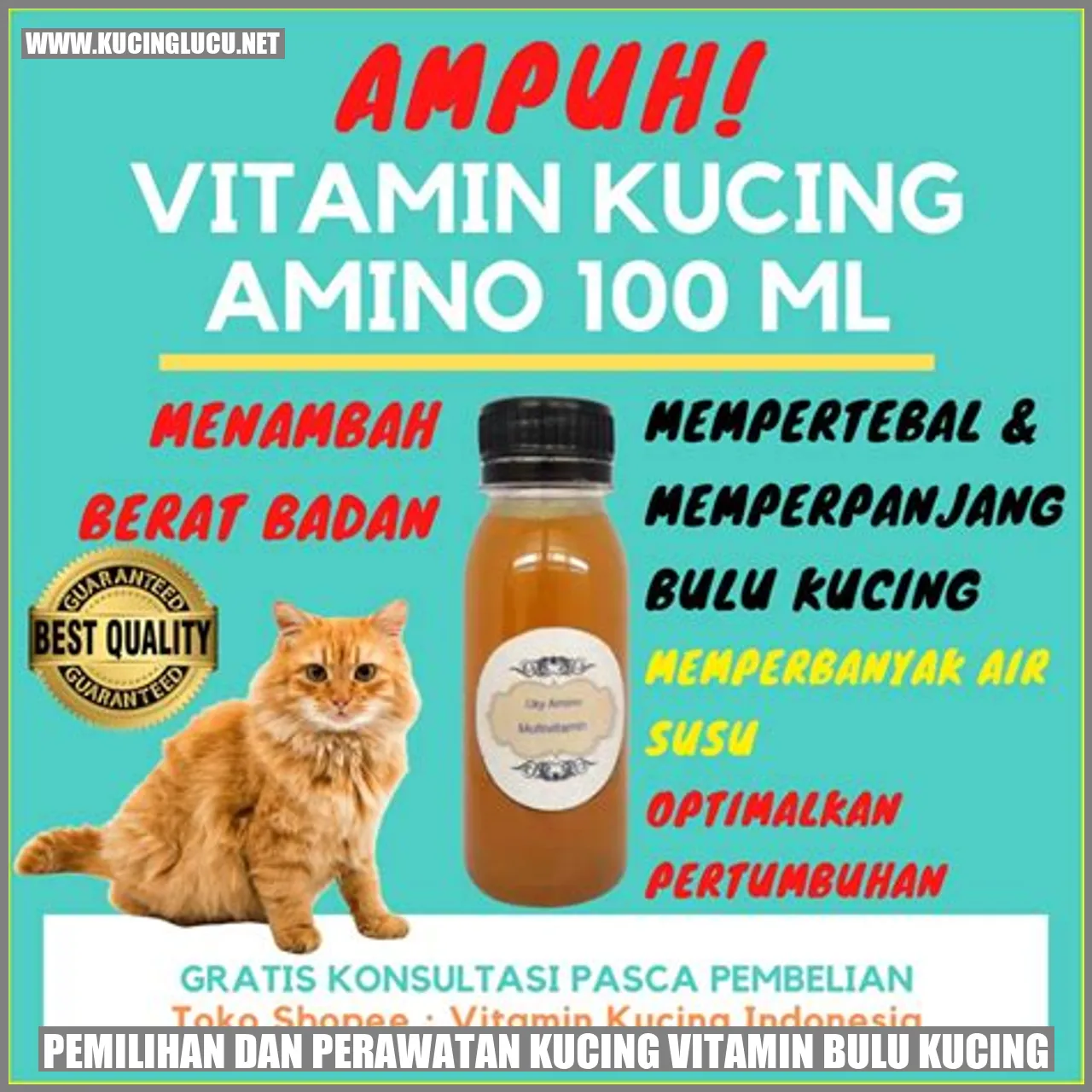 Vitamin Bulu Kucing