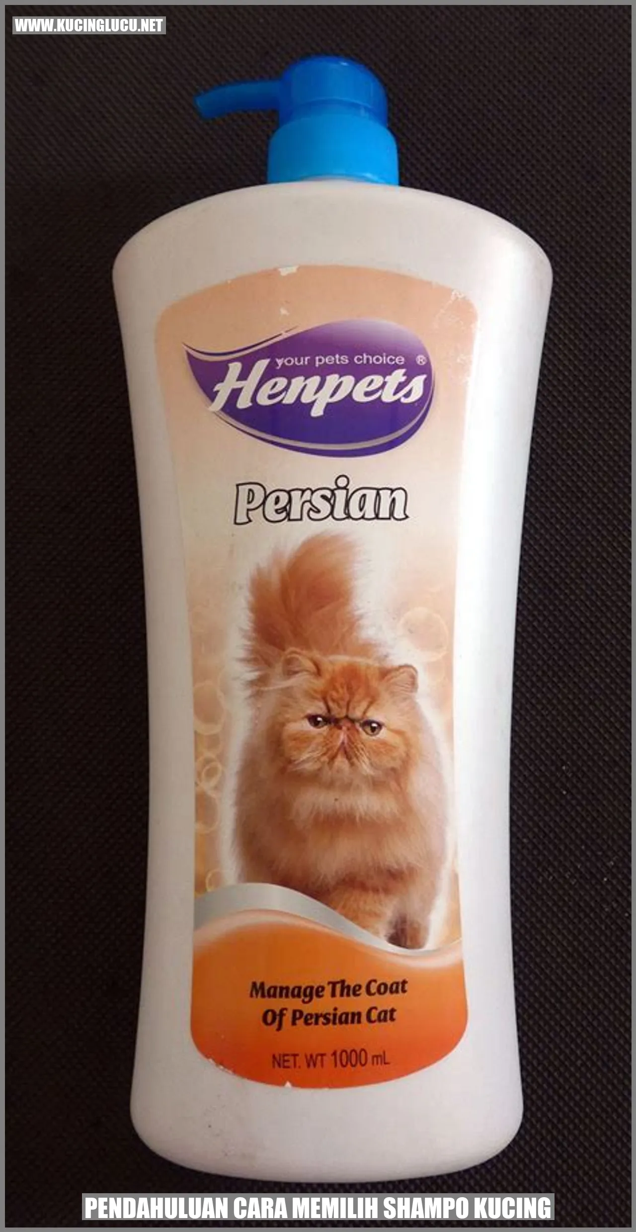 Gambar kucing mandi