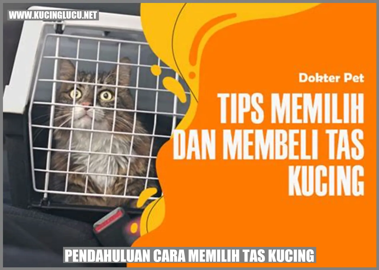 Tas Kucing