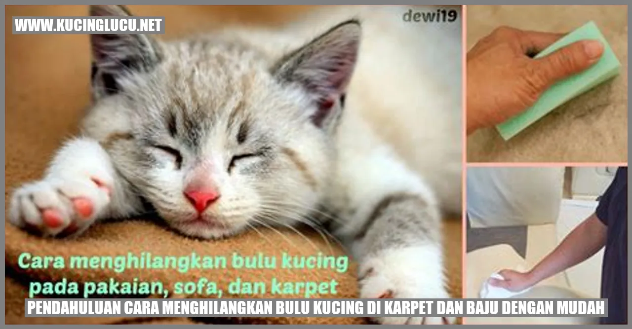 Pendahuluan cara menghilangkan bulu kucing di karpet dan baju dengan mudah