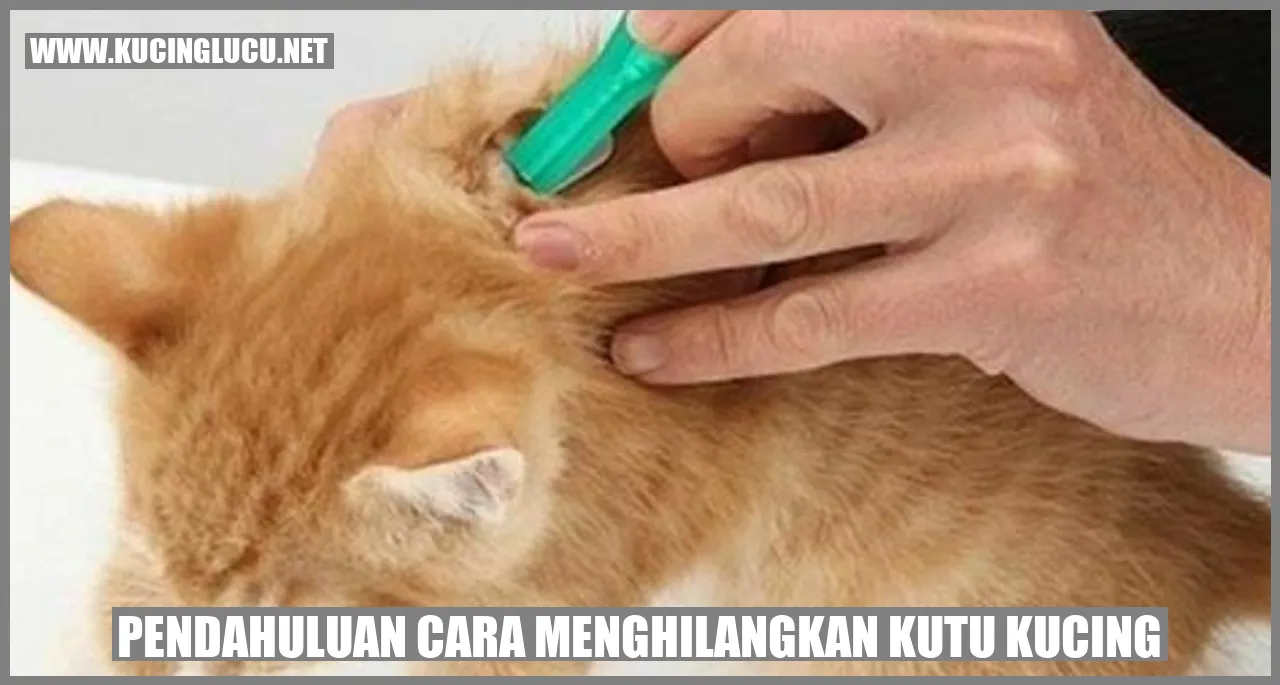 Pendahuluan Cara Menghilangkan Kutu Kucing