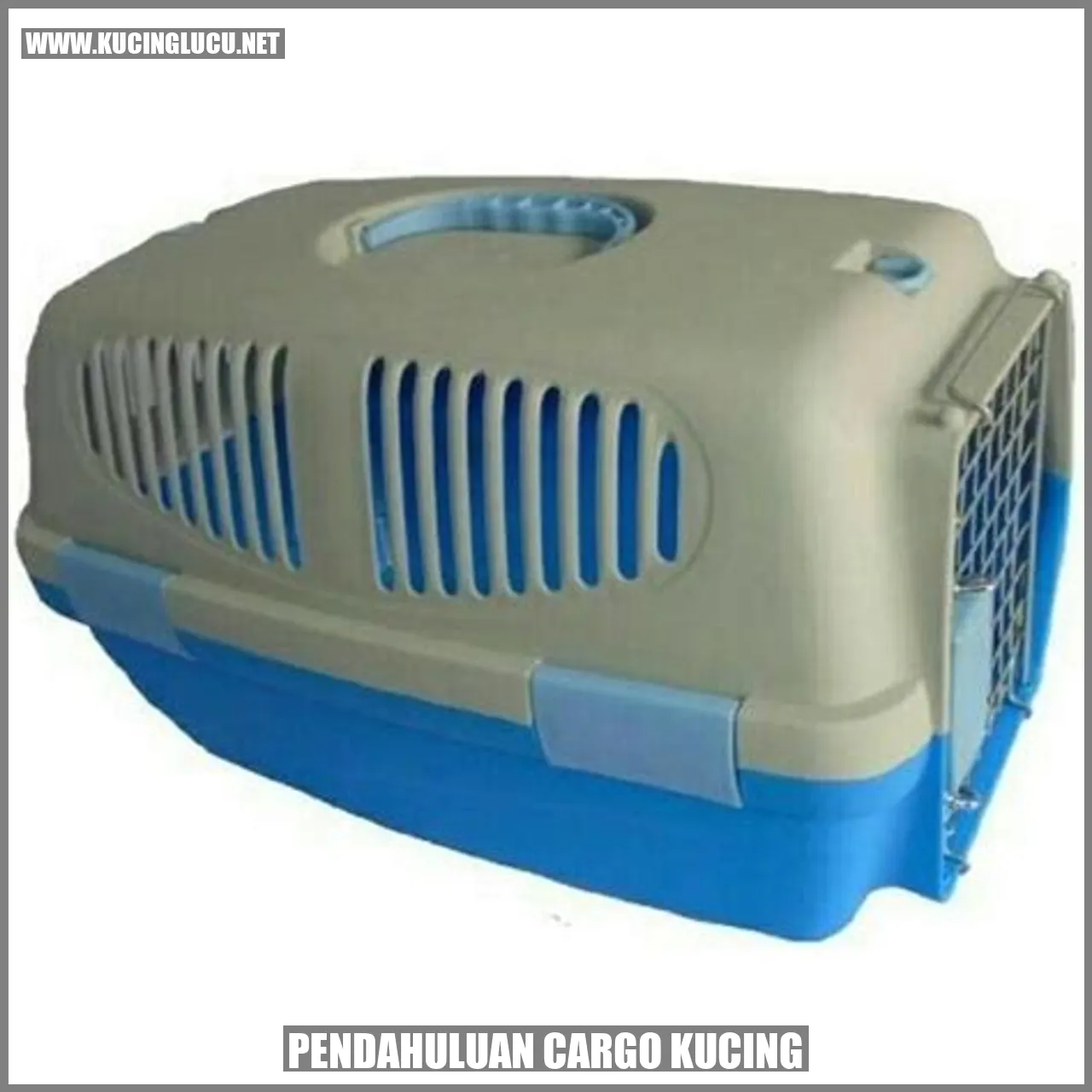 Cargo Kucing