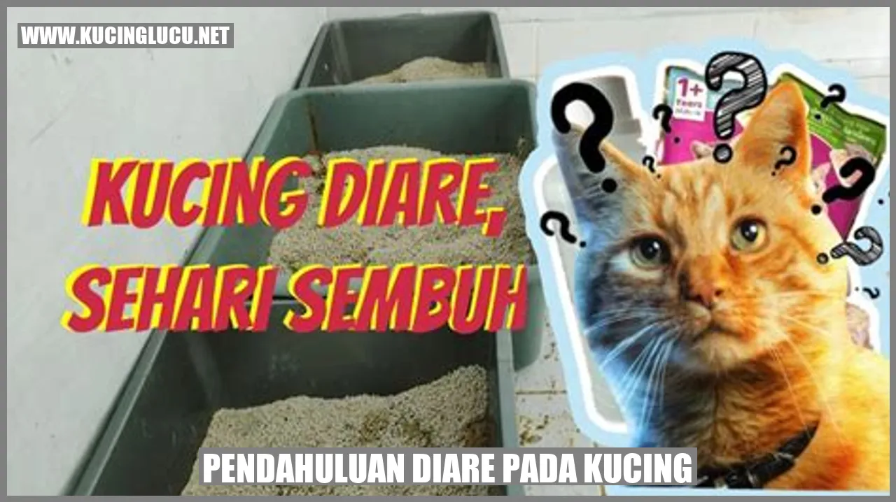 Gambar kucing yang sedang sakit