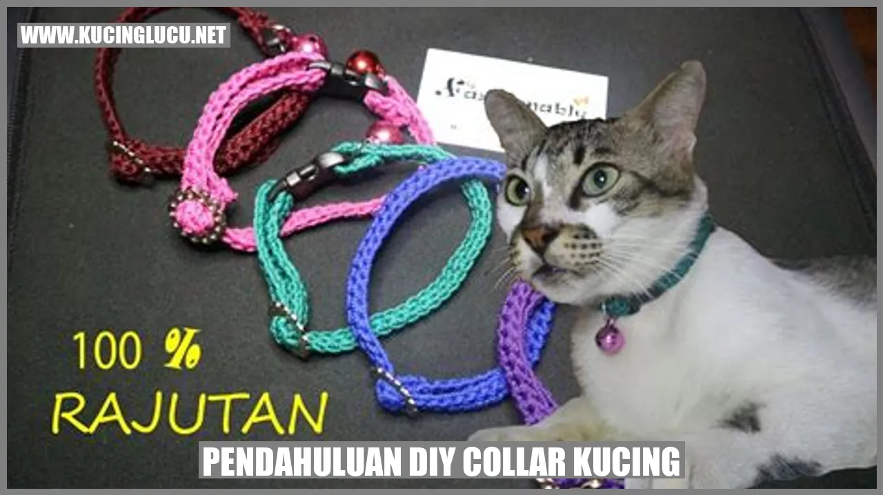 Pendahuluan DIY collar kucing