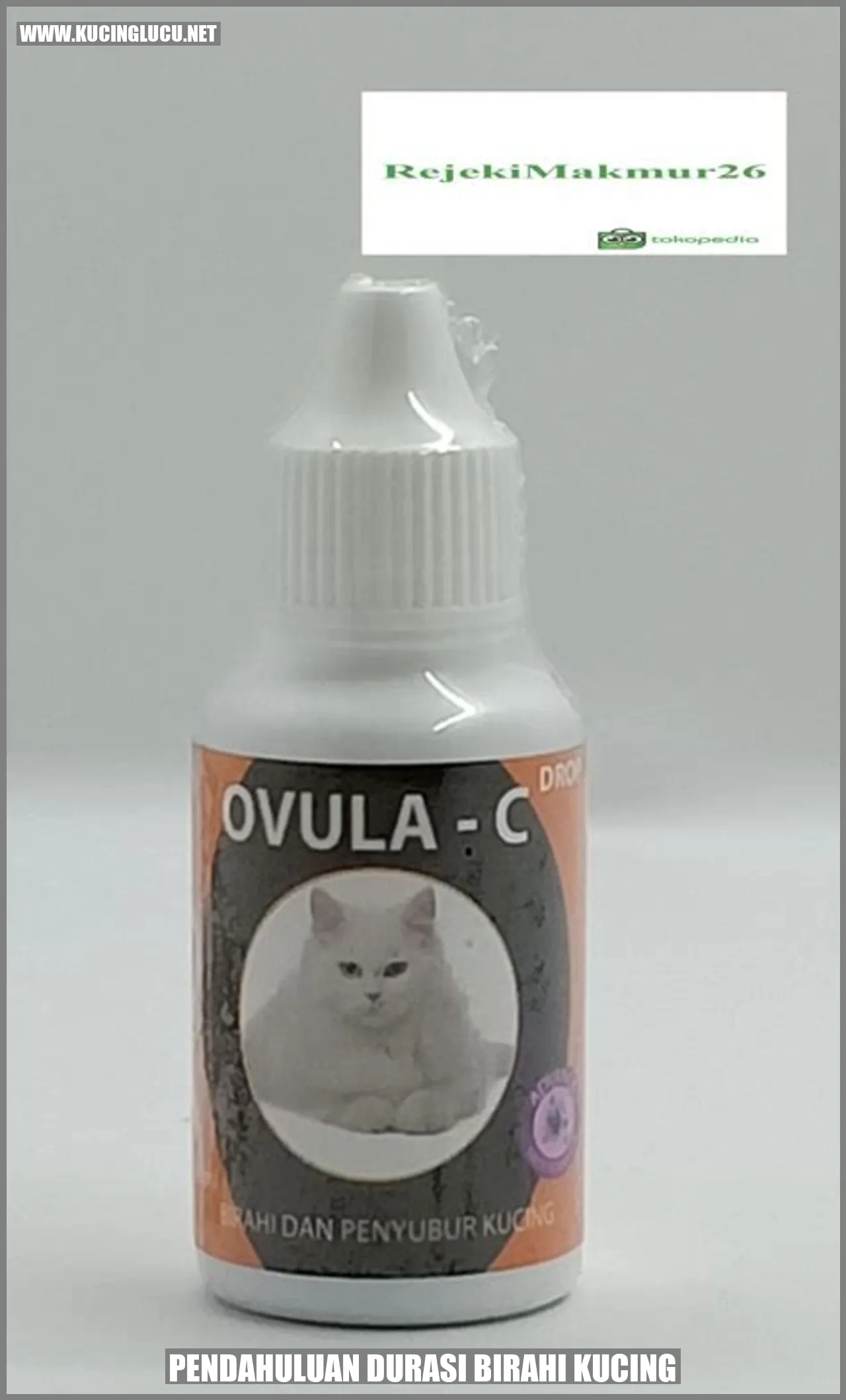 Birahi kucing