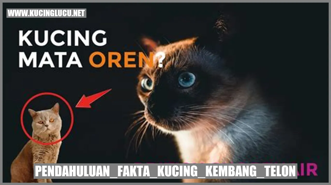 Kucing Kembang Telon