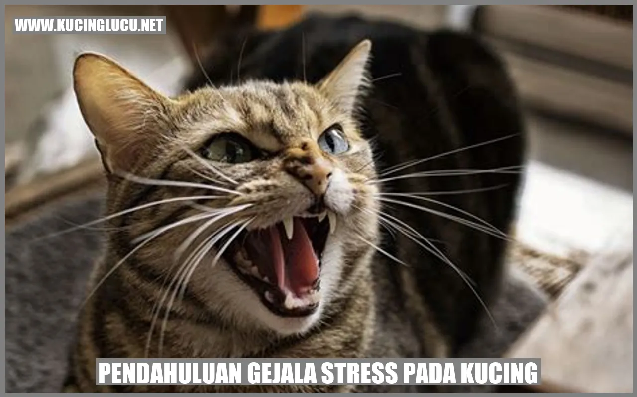 Kucing Mengalami Stress
