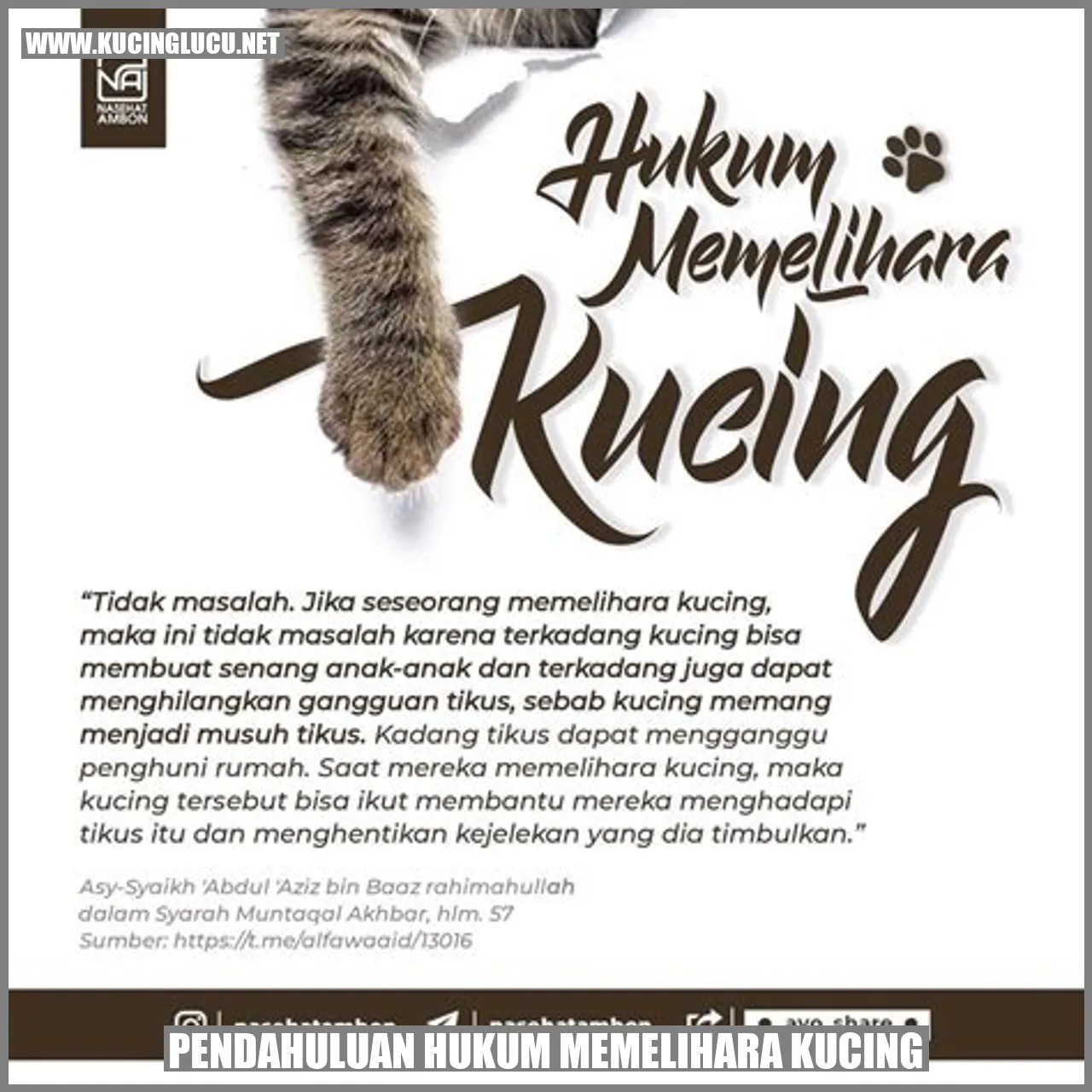 Gambar Kucing