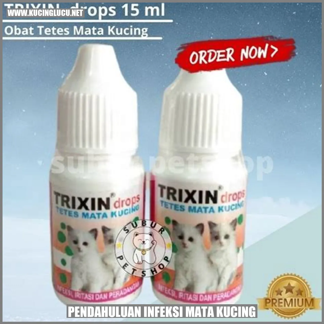 Infeksi Mata Kucing