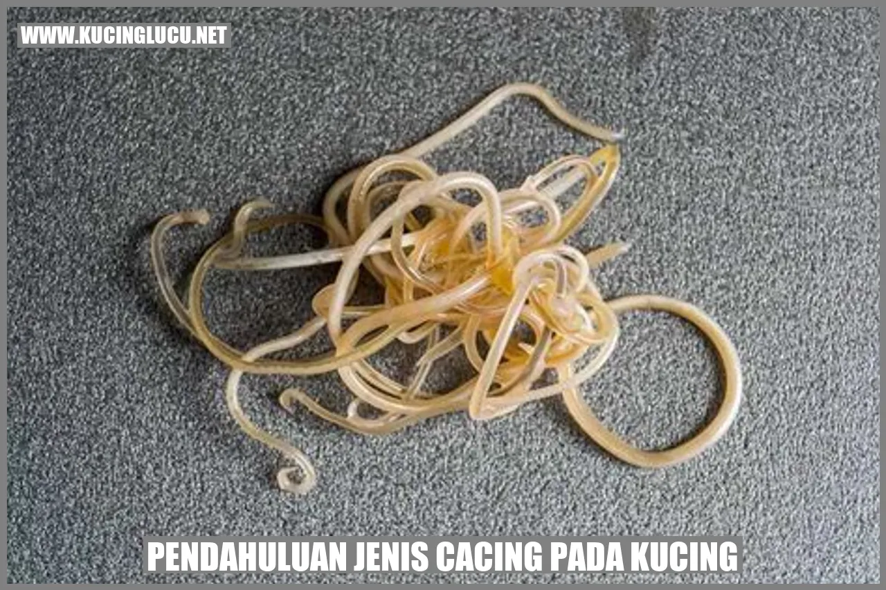 Ilustrasi Cacing yang Menyerang Kucing