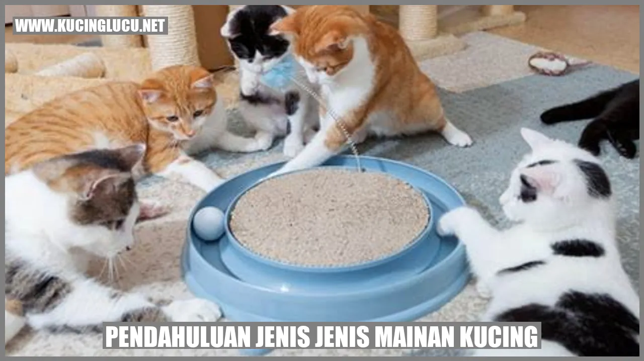 Gambar mainan kucing