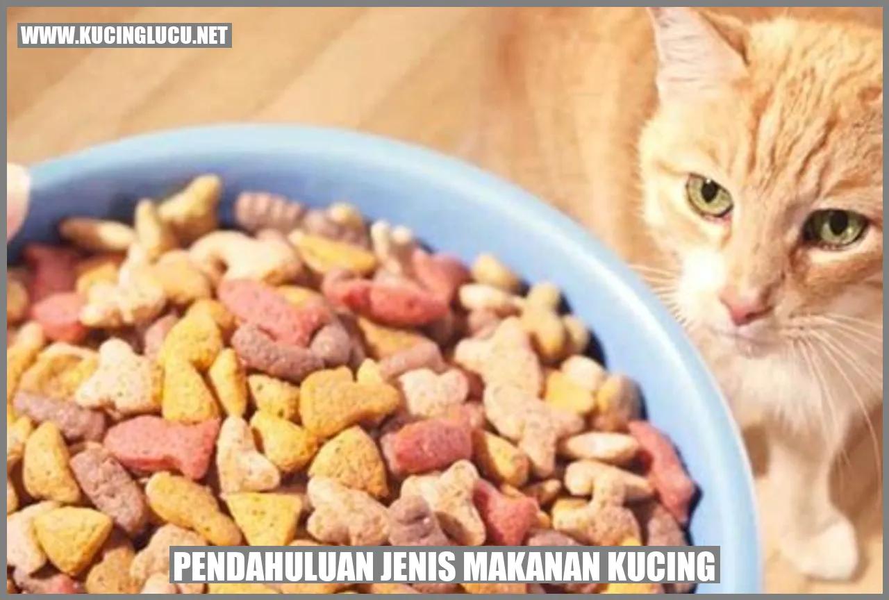 gambar makanan kucing