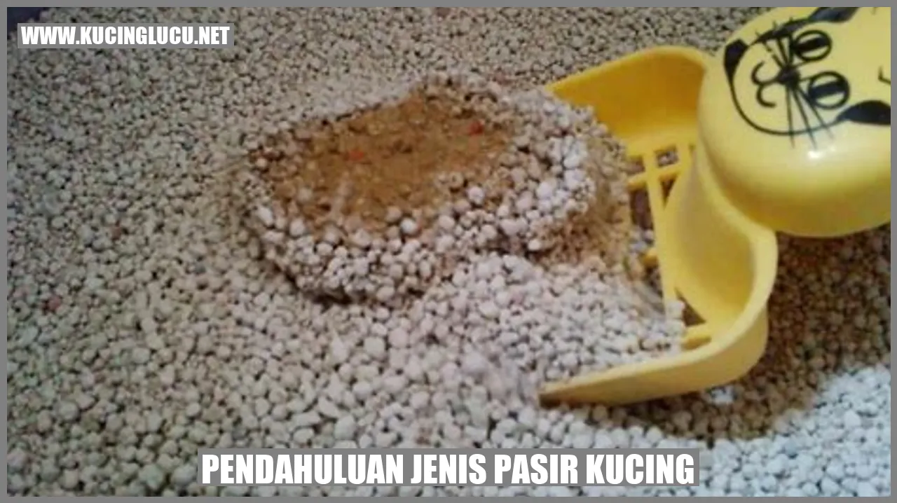 Gambar Pasir Kucing