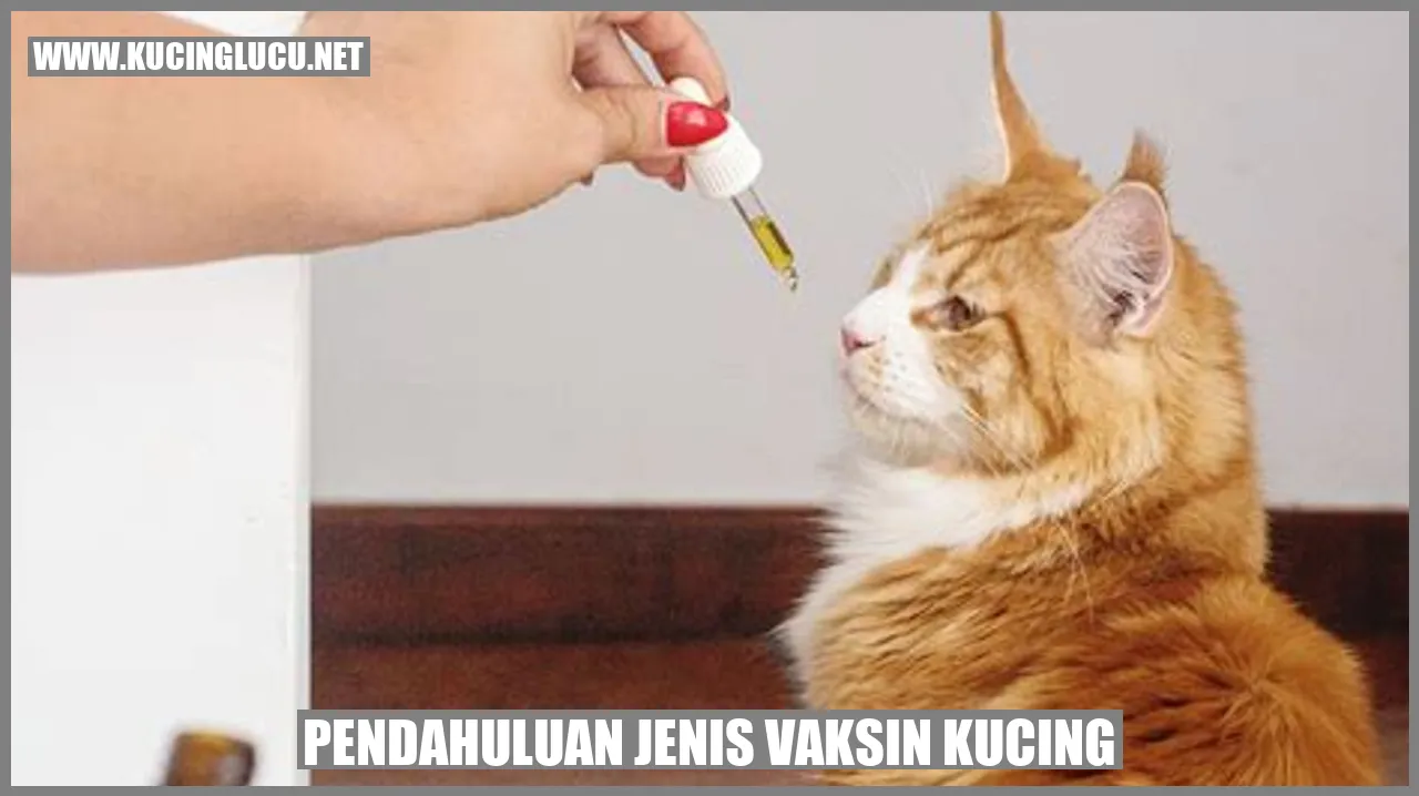 Gambar Vaksin Kucing