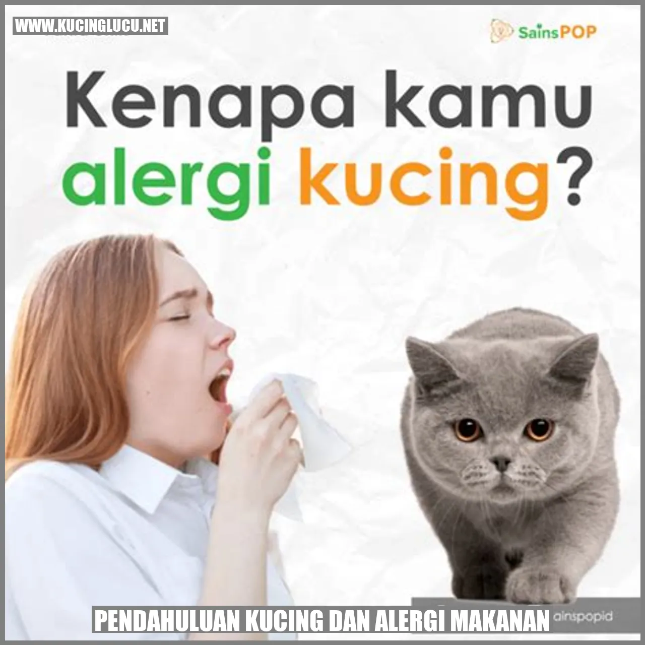 Gambar kucing
