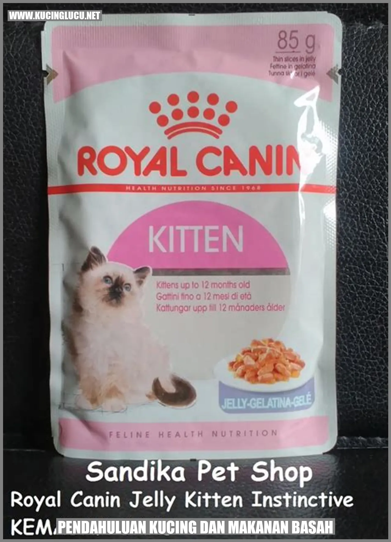 Kucing dan Makanan Basah