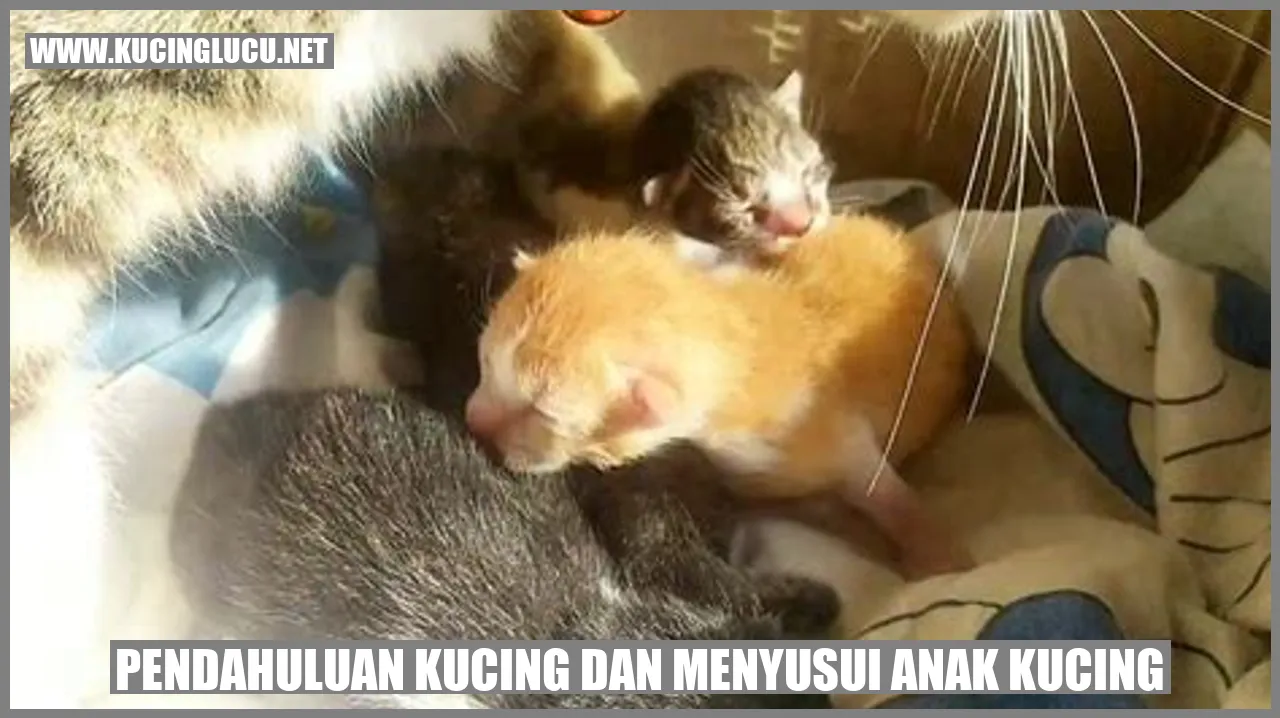 kucing dan anak kucing