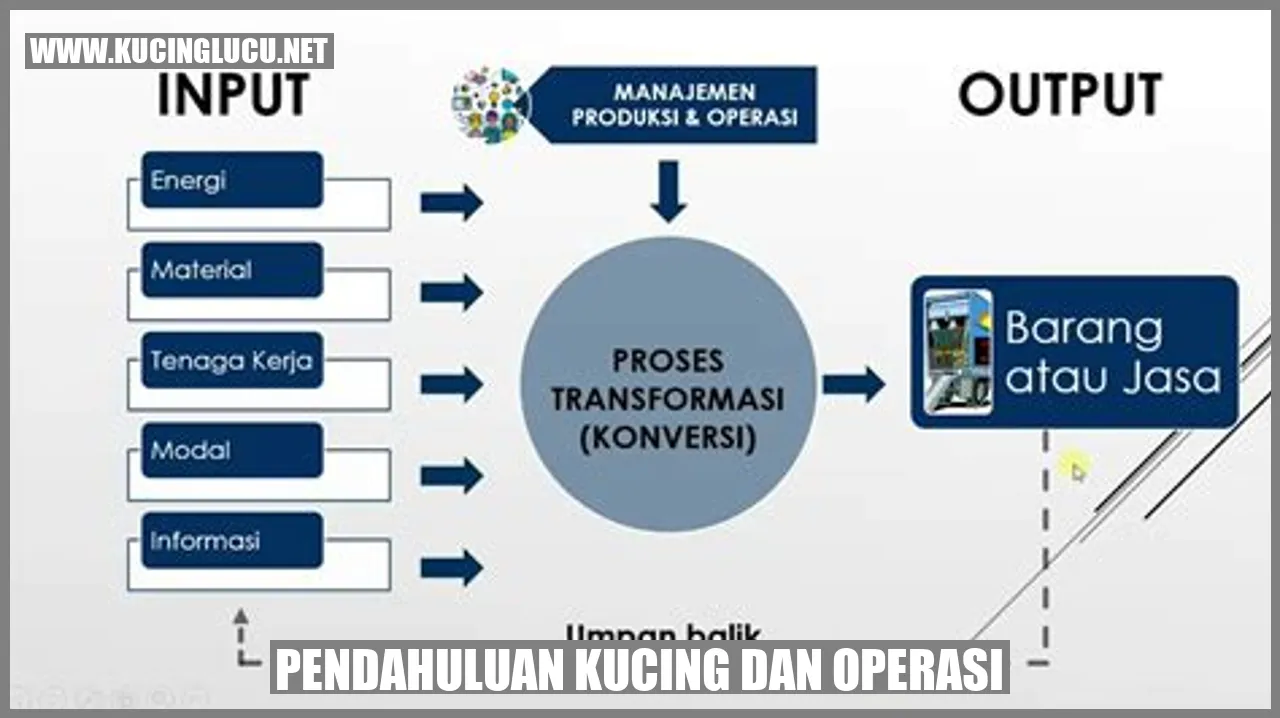 Gambar Kucing dan Operasi