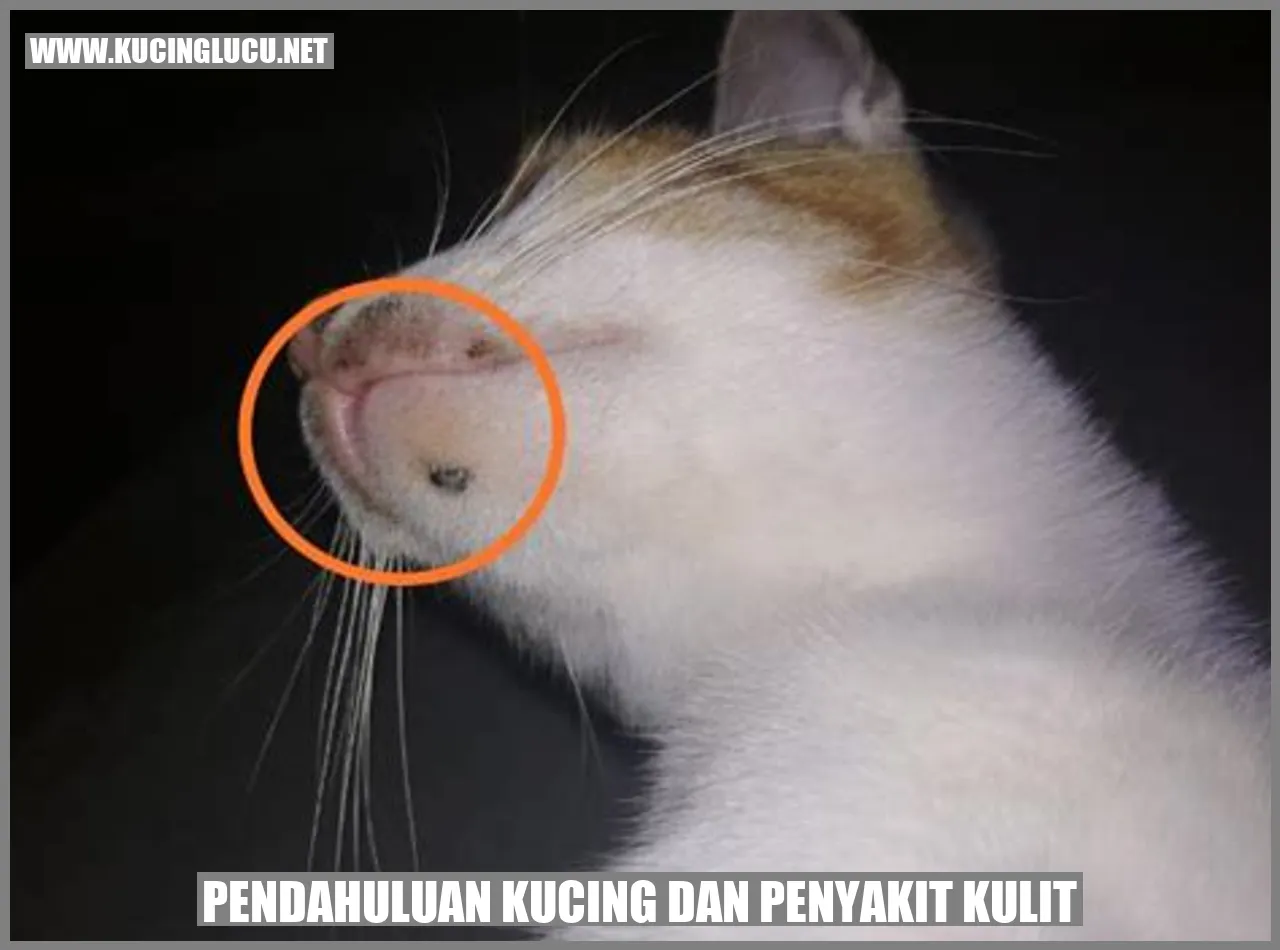 Pendahuluan Kucing dan Penyakit Kulit