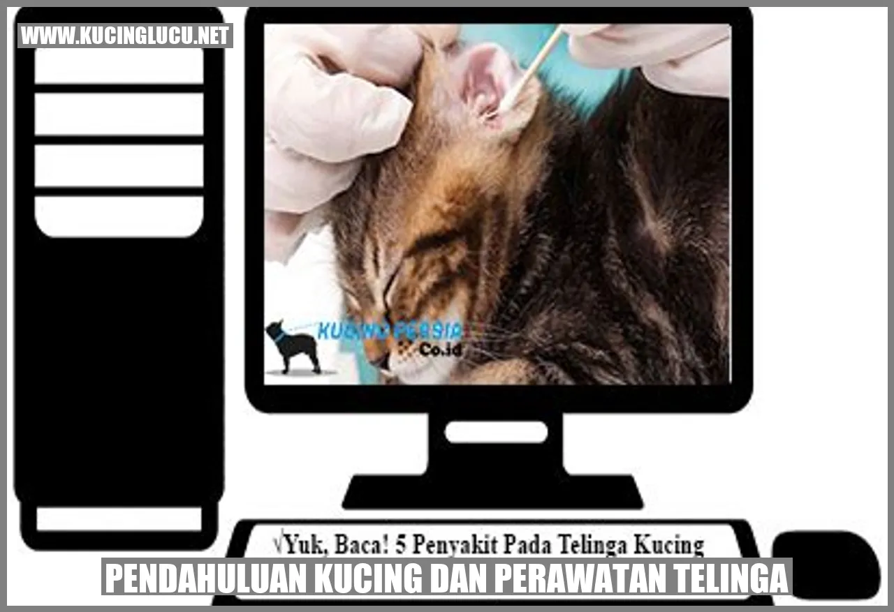 Kucing
