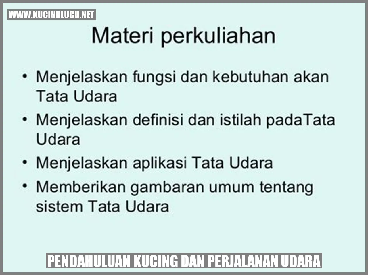 Kucing ceria di dalam pesawat udara