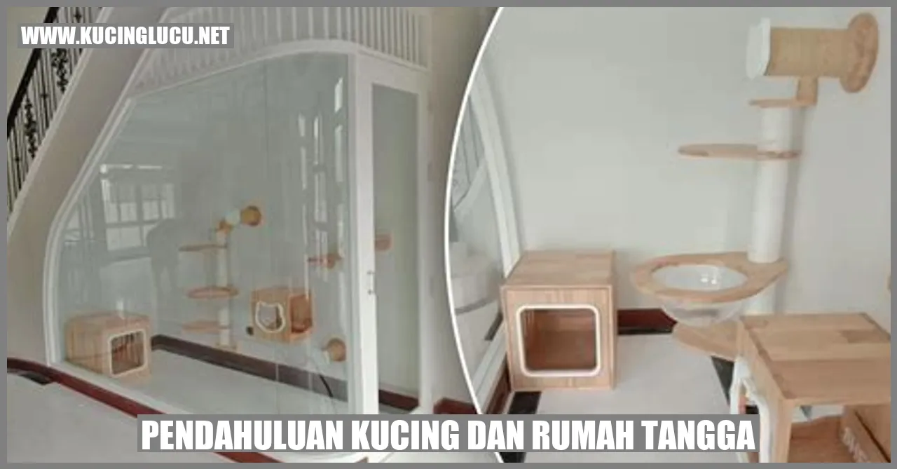 Gambar Kucing dan Rumah Tangga