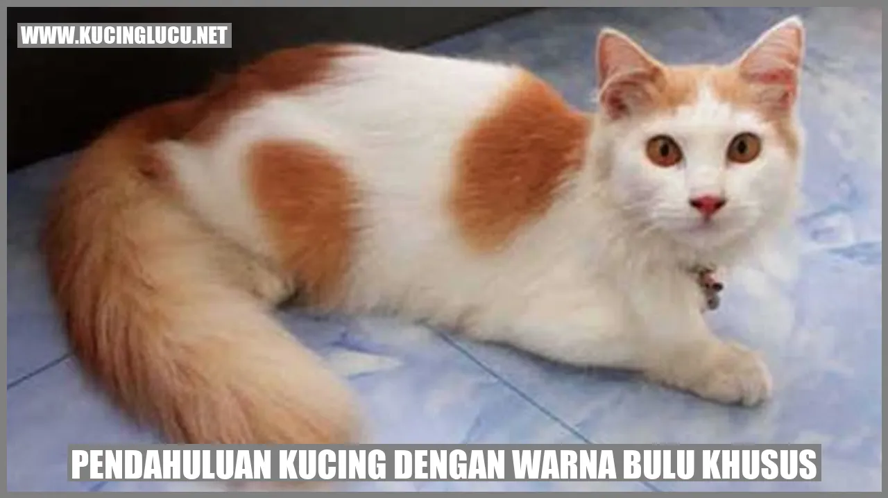 Kucing dengan Warna Bulu Khusus