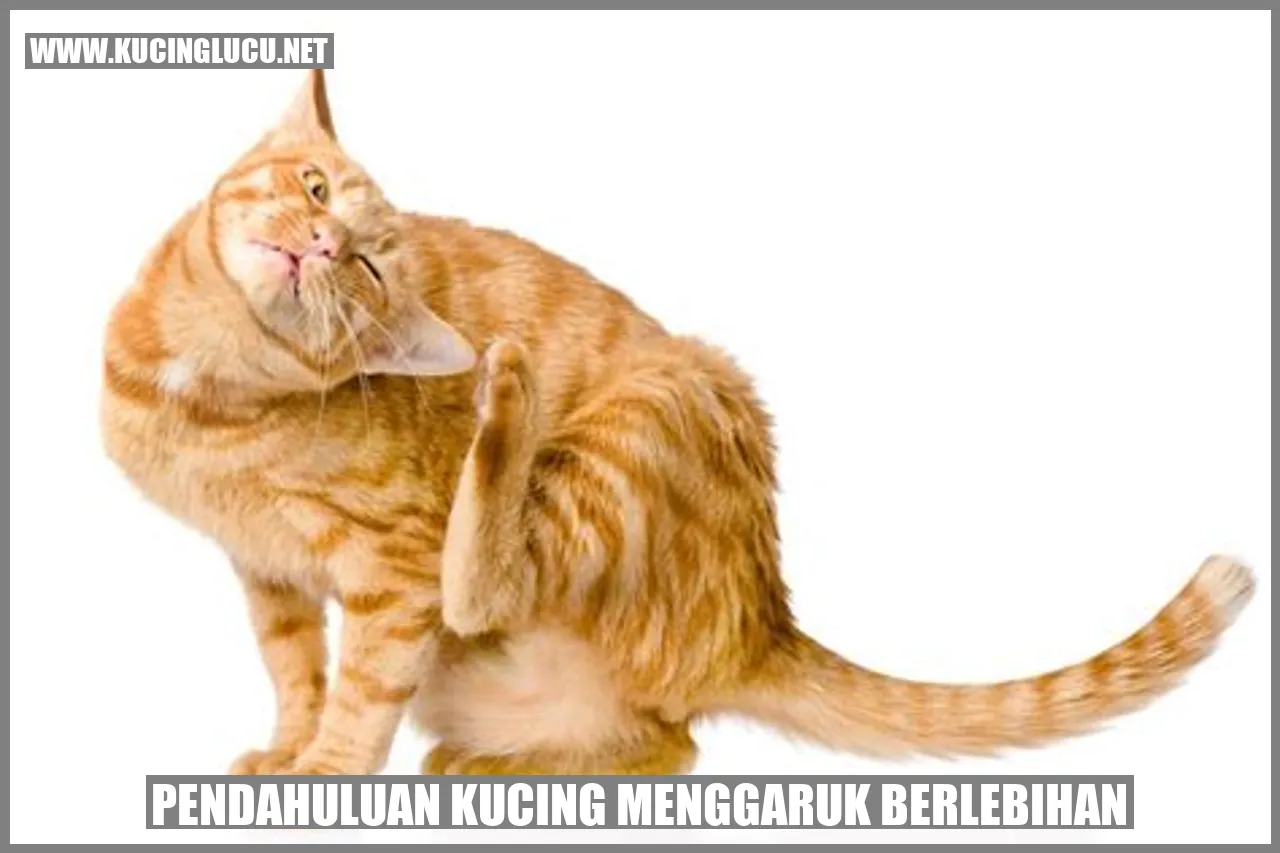 Kucing menggaruk berlebihan