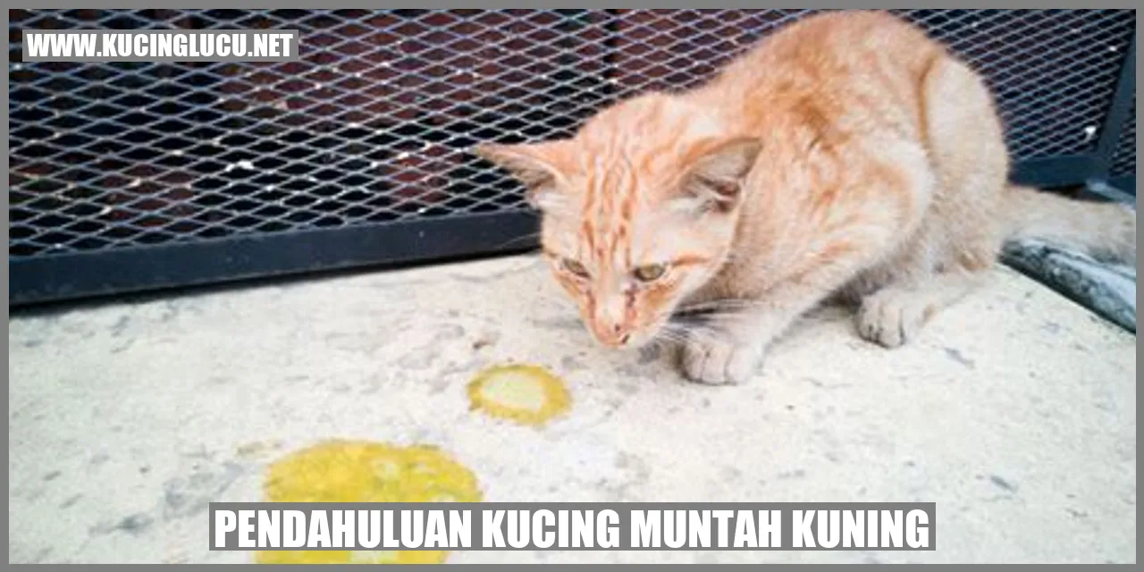 Kucing Muntah Kuning