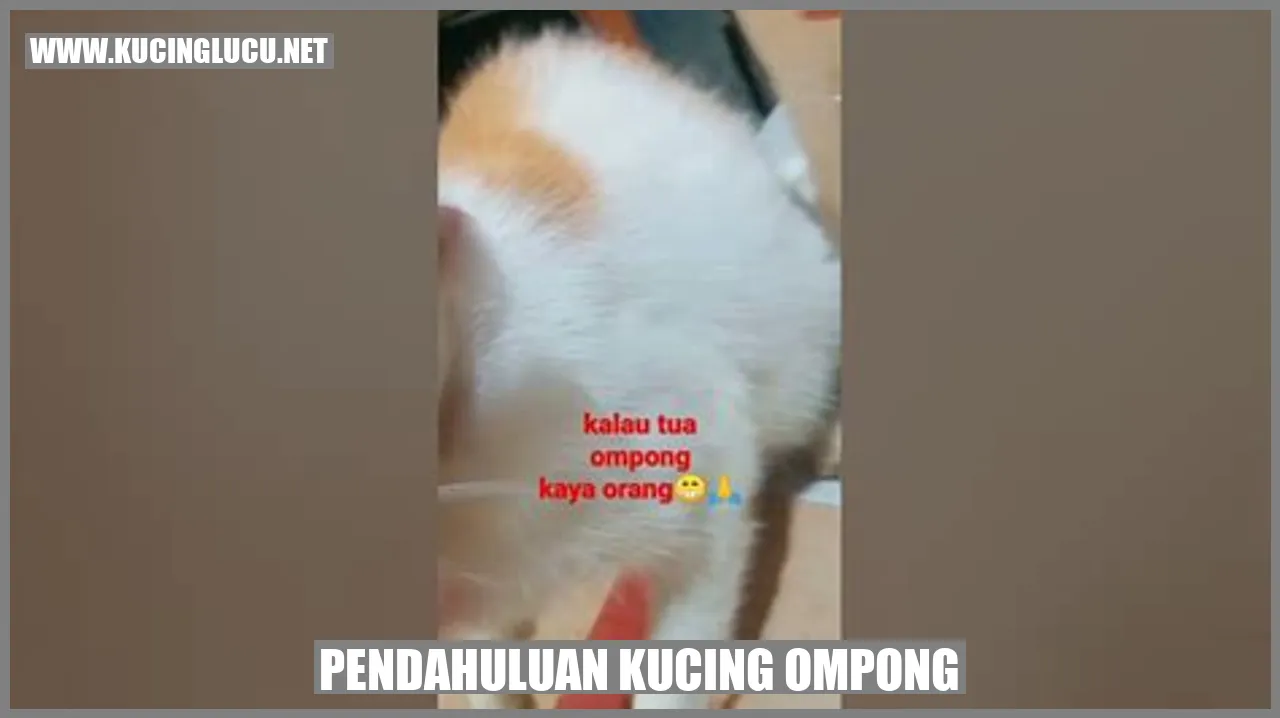 Gambar kucing ompong