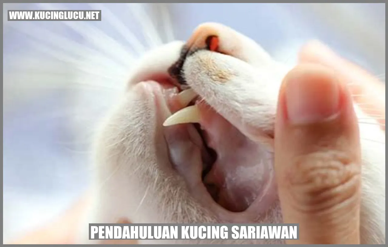 Gambar Kucing Sariawan