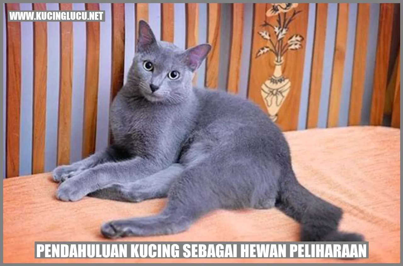 Kucing sebagai Hewan Peliharaan