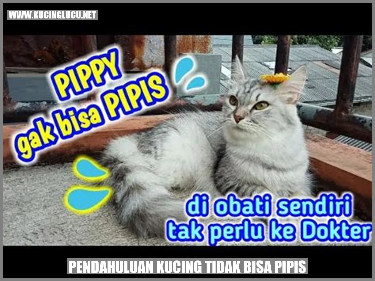 Ilustrasi Kucing