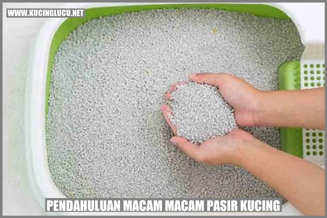 Gambar Pasir Kucing
