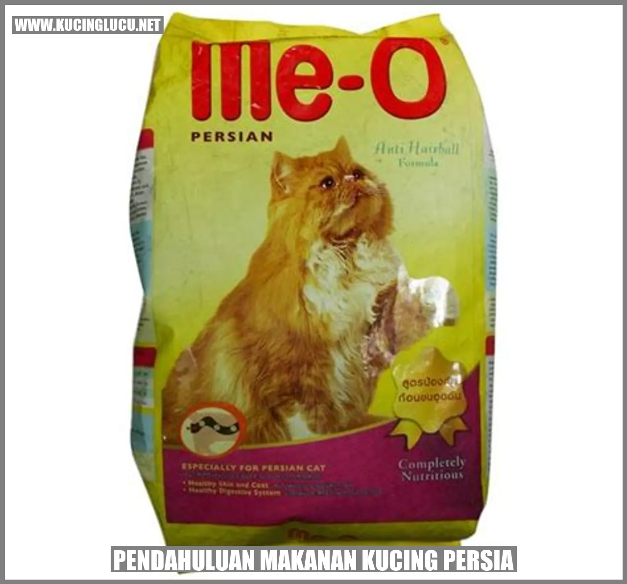 Foto Kucing Persia