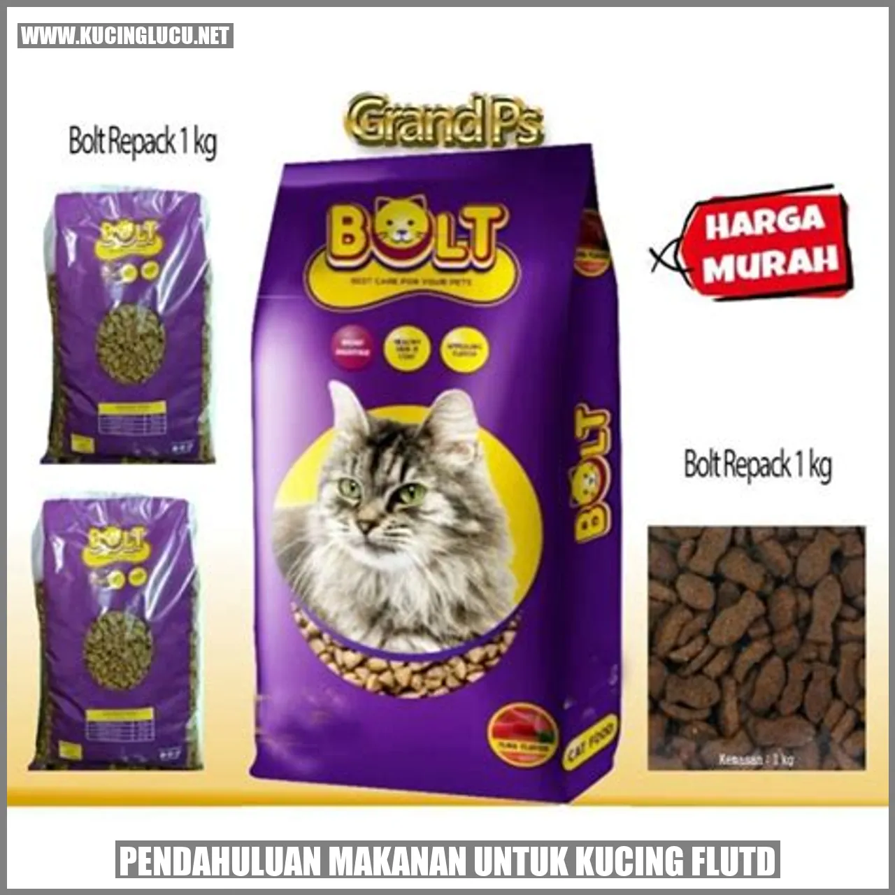 Kucing FLUTD