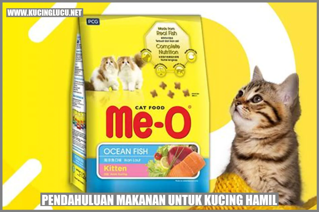 Kucing hamil