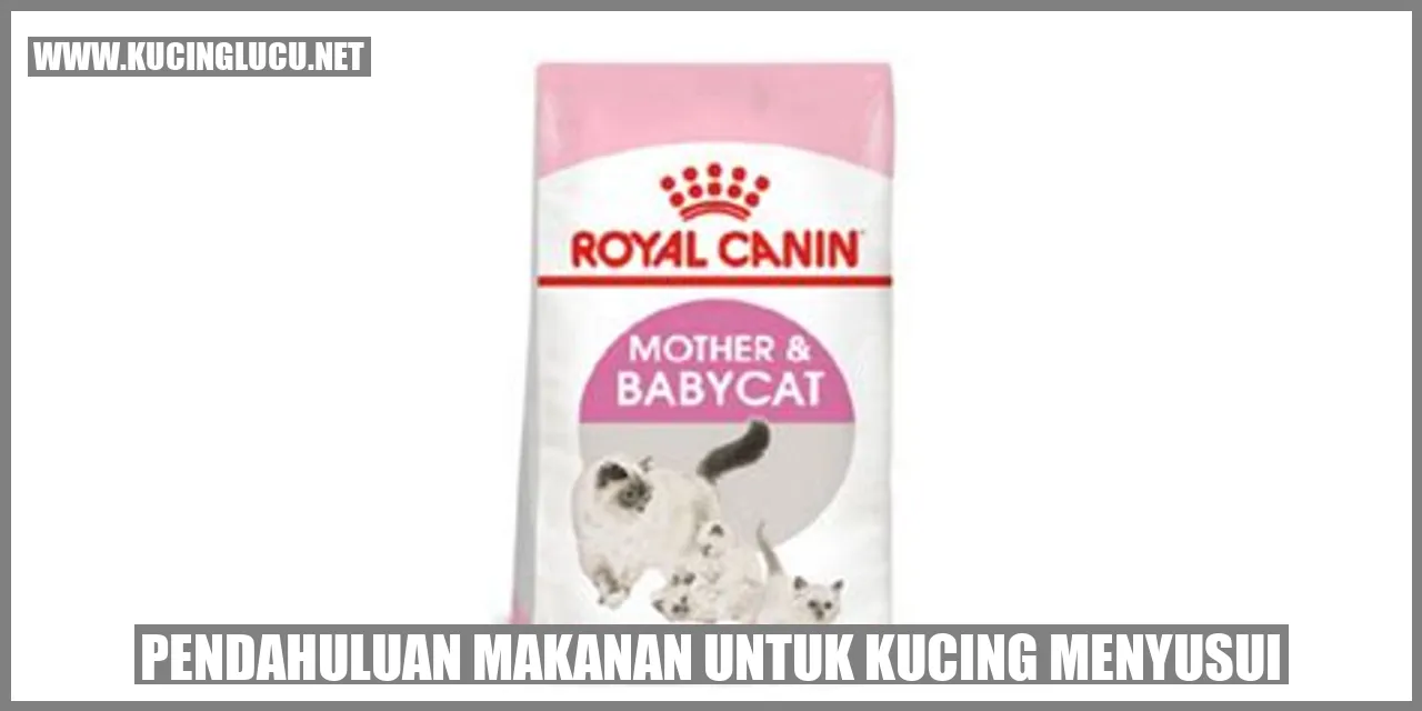 Ilustrasi Makanan untuk Kucing Menyusui