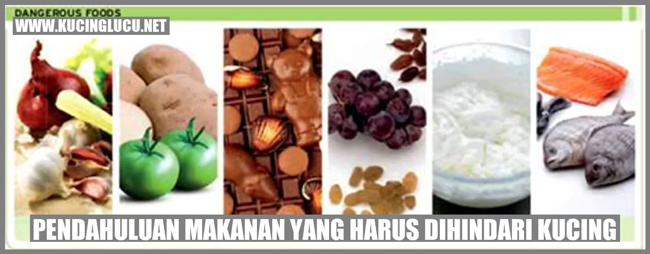 Kucing Selalu Menghindari Makanan