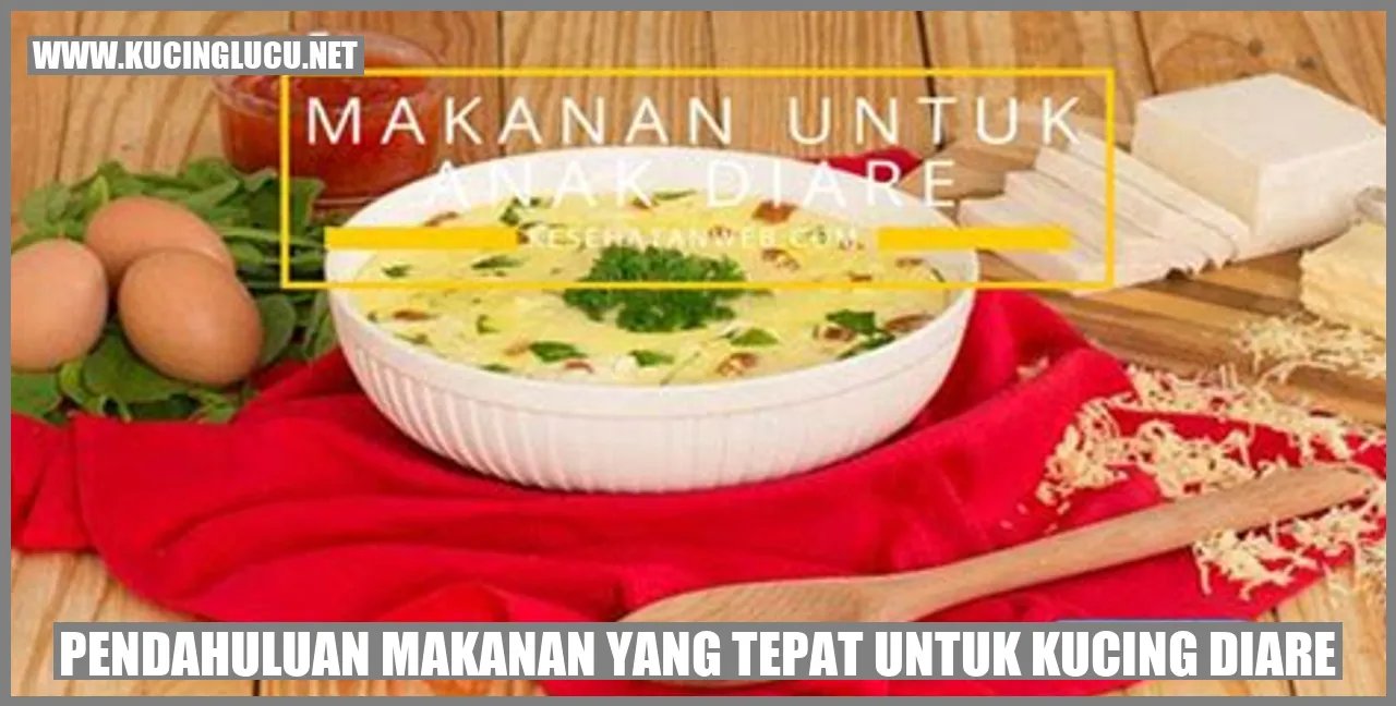 Makanan yang Cocok untuk Kucing yang Mengalami Diare