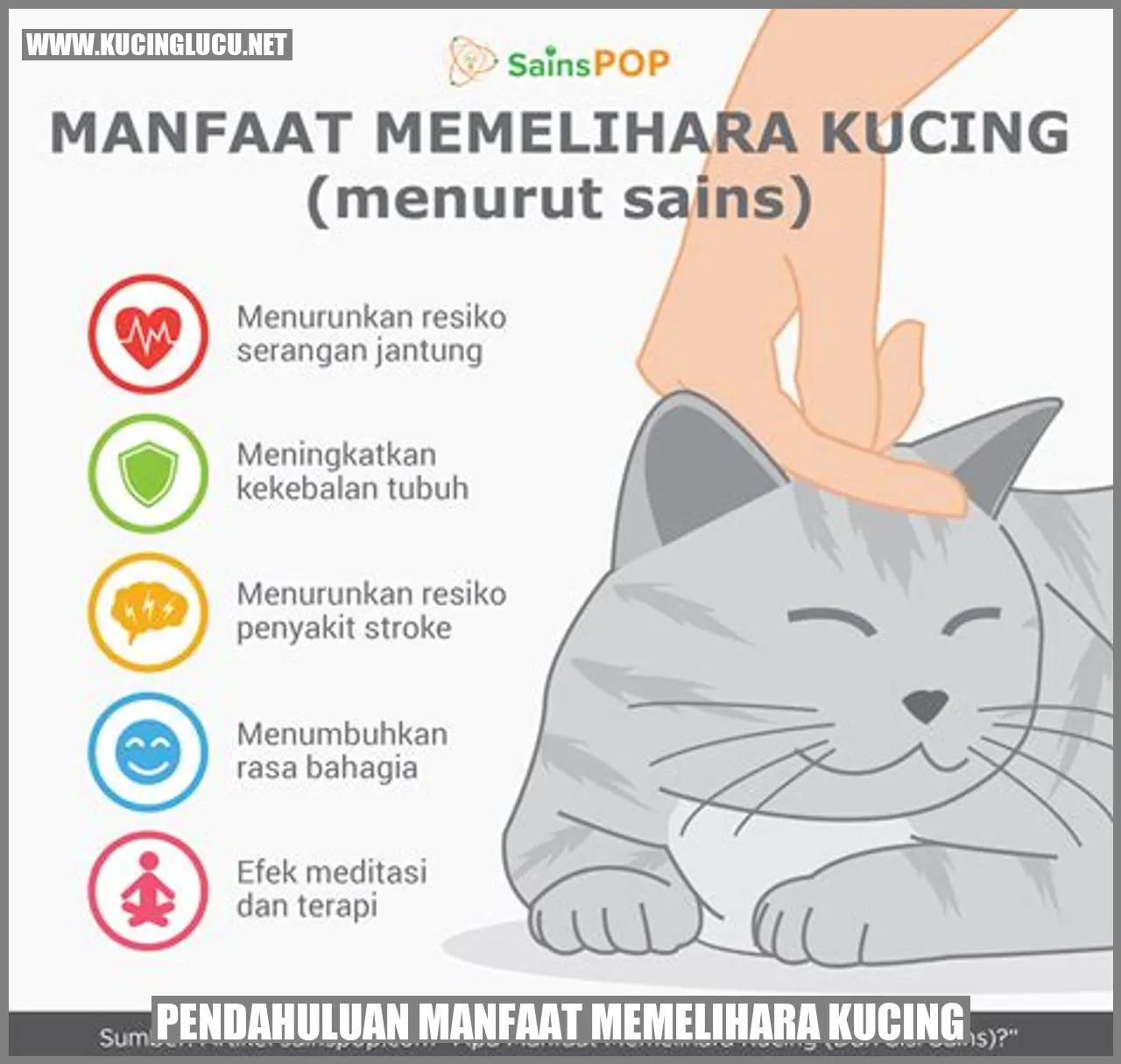 Kucing yang Menggemaskan