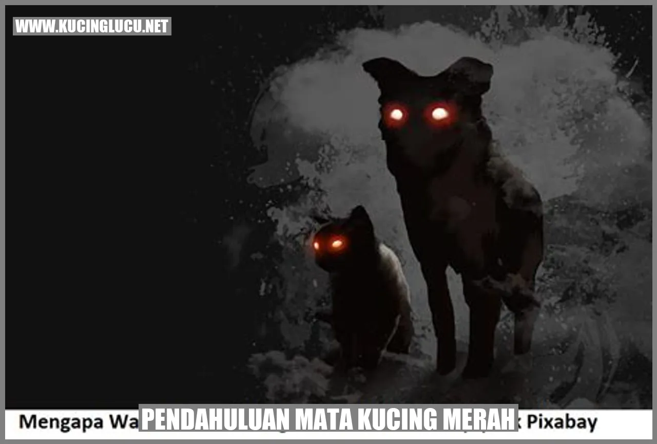 Mata kucing merah