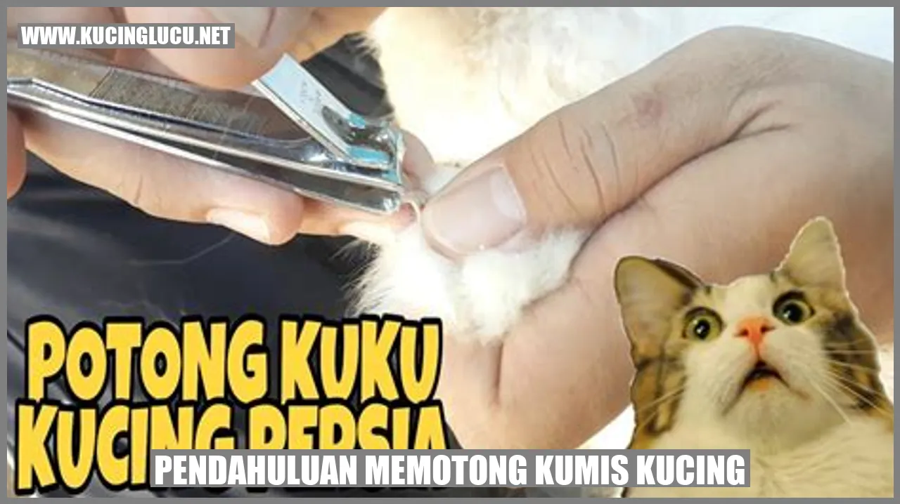 Memotong Kumis Kucing