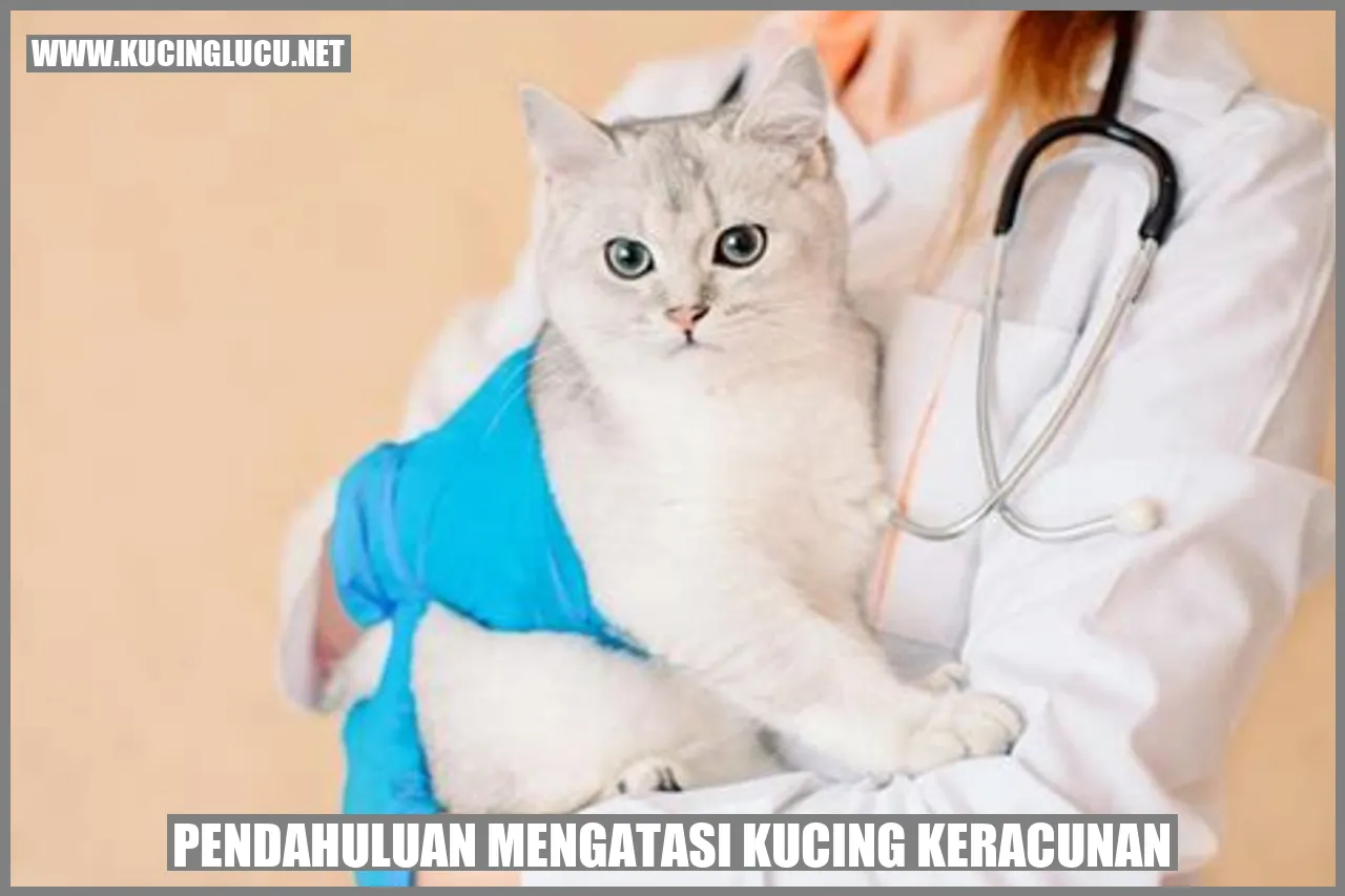 gambar kucing keracunan