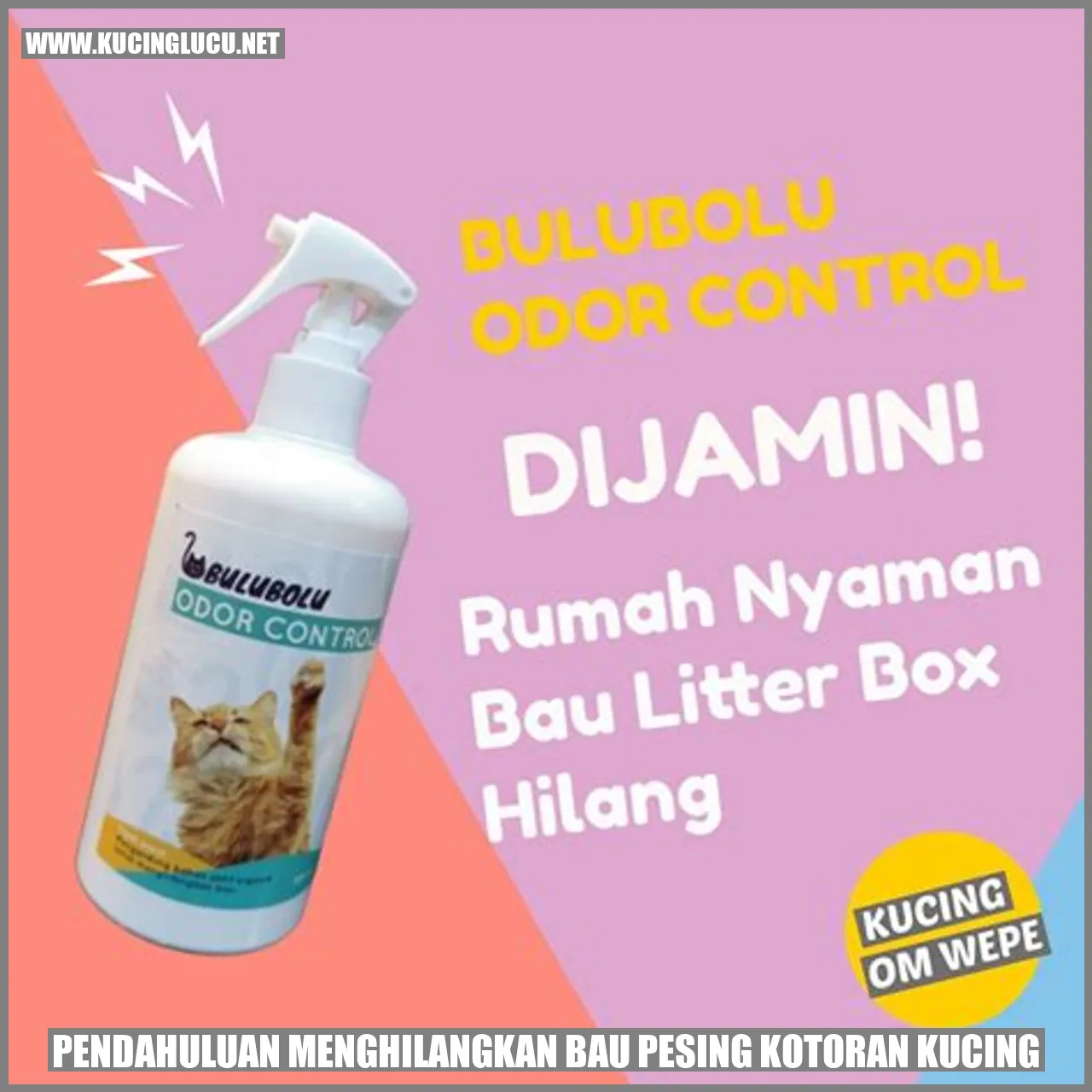 Gambar seekor kucing