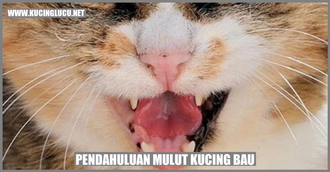 Kucing dengan mulut yang berbau