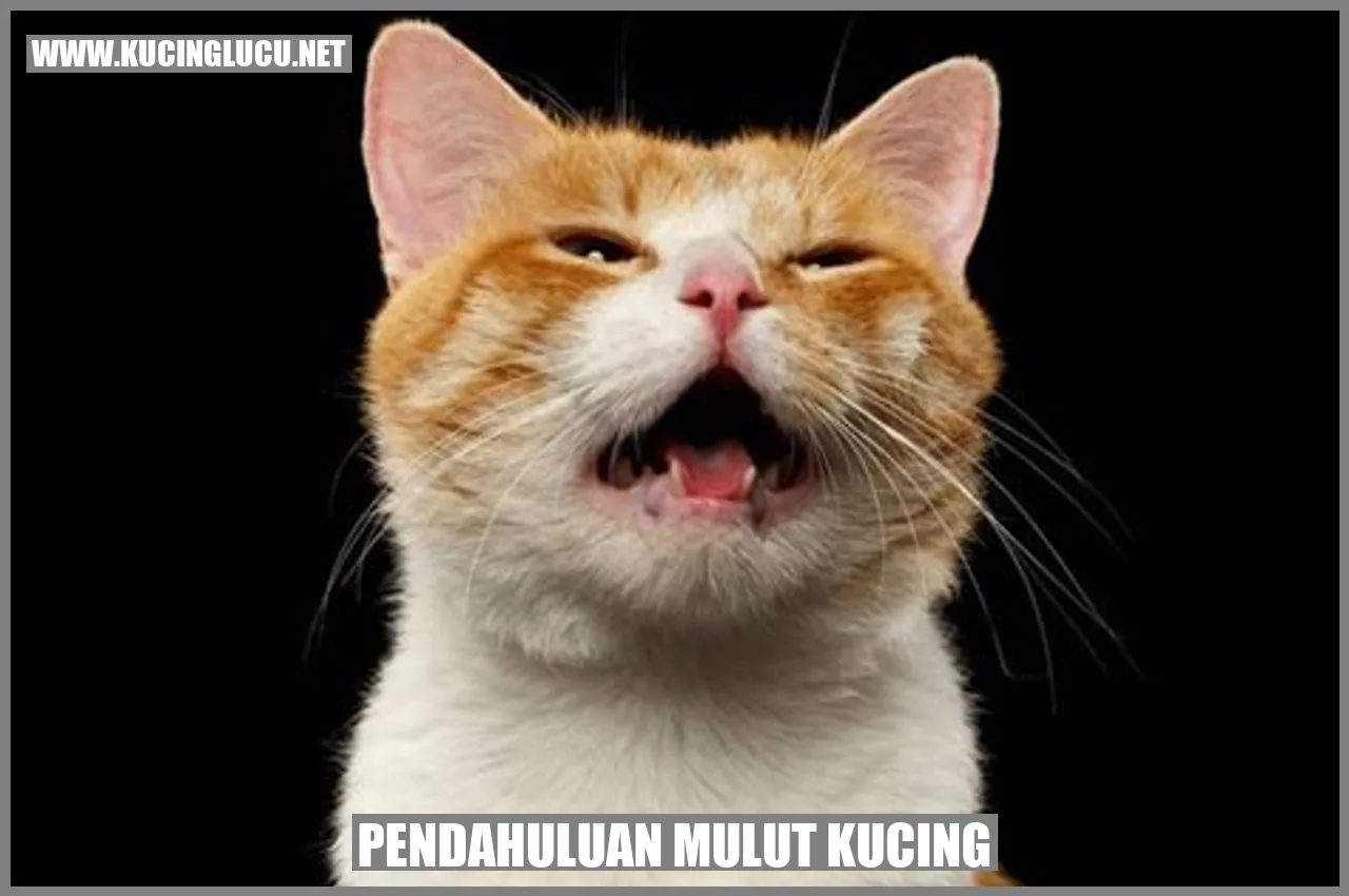 Ilustrasi Kucing