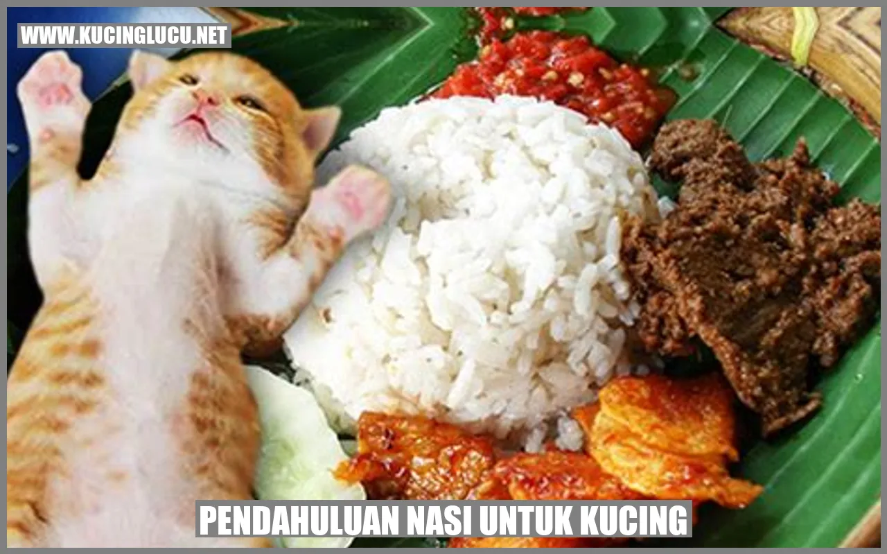 Gambar Kucing Makan Nasi