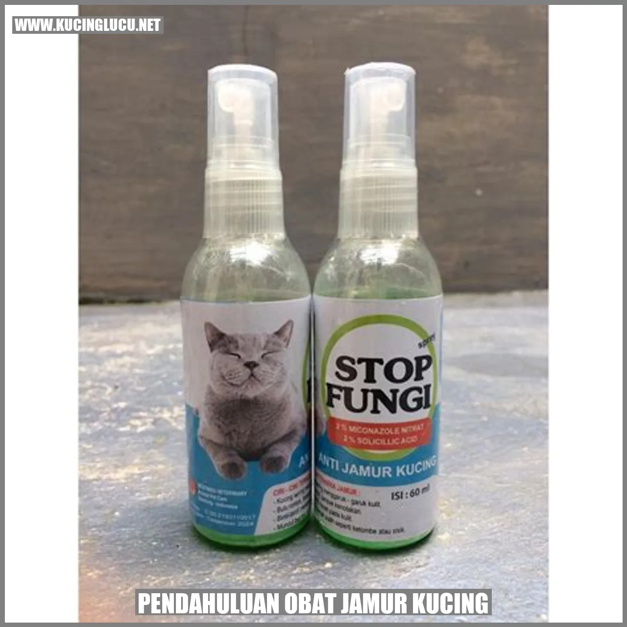Pendahuluan Obat Jamur Kucing